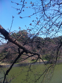 120401_122715.jpg