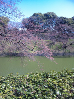 120401_122858.jpg