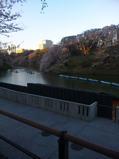 120404_173531.jpg