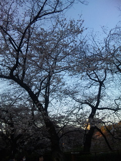 120404_173642.jpg