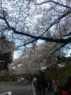 120407_122029.jpg