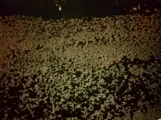 IMAG0289.jpg